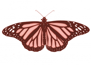 ﻿Kyle Dillingham Announces ‘Reddened Monarch Music Festival’ – Honoring Oklahoma City’s Homeless