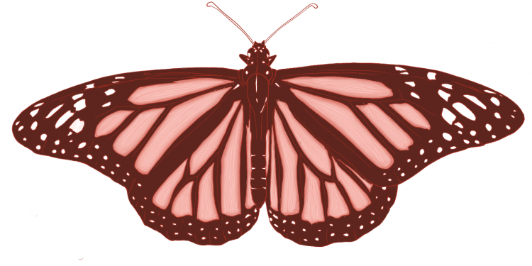 Kyle Dillingham Announces ‘Reddened Monarch Music Festival’ – Honoring Oklahoma City’s Homeless