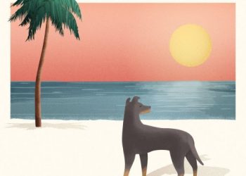 5 Local Albums You Slept on In 2019